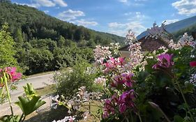Mokra Gora Central Apartments